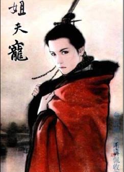 姐夫宠不停